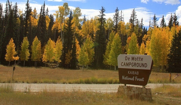 U.S. Forest Service Deploys BAER Team for Post-Fire Analysis in Kaibab National Forest