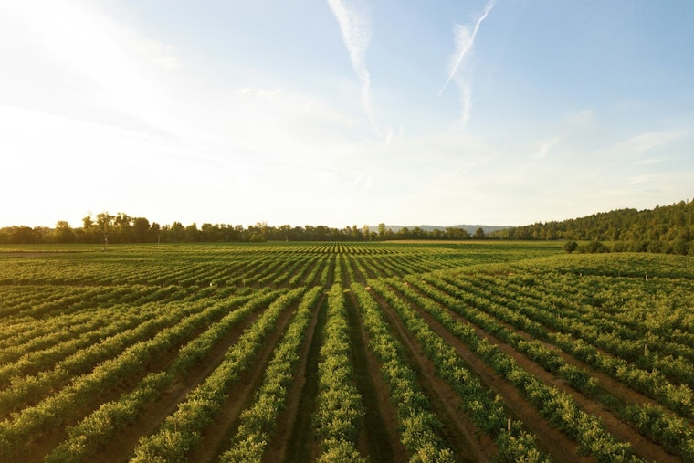 USDA Urges Farmers to Act Before Crop Insurance Deadlines for 2026 Fall-Planted Crops Approach