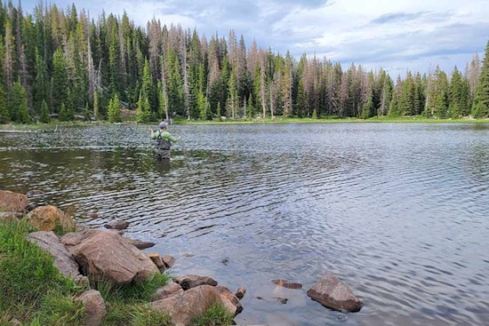 Utah Offers Elevated Fishing Adventures Amidst Mountain Vistas