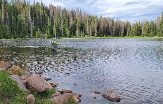 Utah Offers Elevated Fishing Adventures Amidst Mountain Vistas