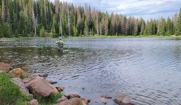 Utah Offers Elevated Fishing Adventures Amidst Mountain Vistas