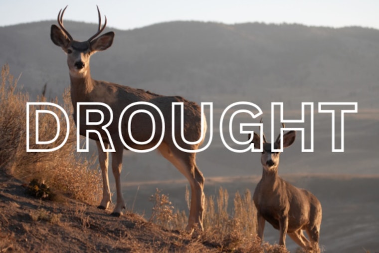 Utah's Water Crisis Deepens: Snowpack Shortfalls Signal Trouble for Ecosystems and Communities