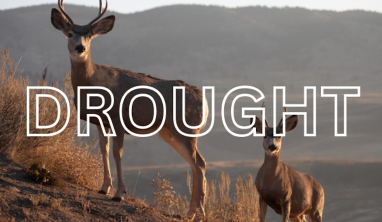 Utah's Water Crisis Deepens: Snowpack Shortfalls Signal Trouble for Ecosystems and Communities