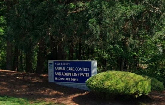 Wake County Animal Center in Raleigh Launches Fee-Waiving "Clear the Shelter" Campaign Amid Overcrowding
