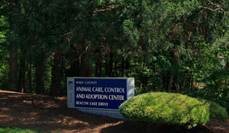 Wake County Animal Center in Raleigh Launches Fee-Waiving "Clear the Shelter" Campaign Amid Overcrowding