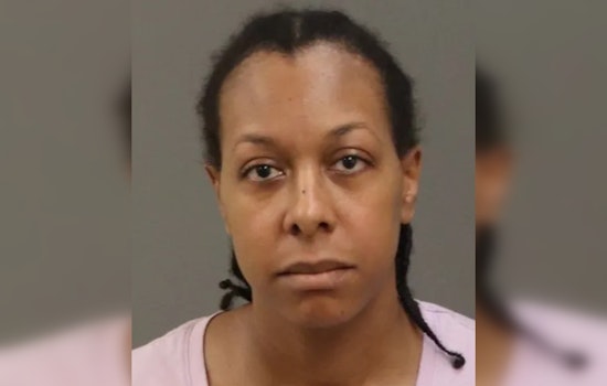 Warren Woman Charged in Fatal Hit-and-Run on I-696, Faces 5-Year Sentence if Convicted