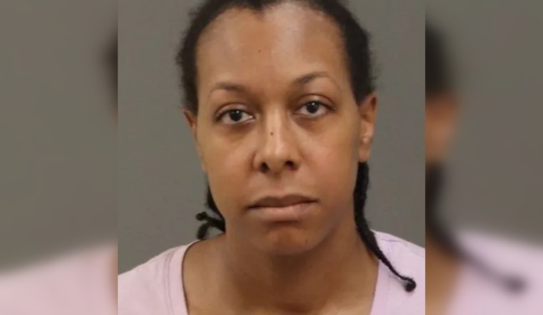 Warren Woman Charged in Fatal Hit-and-Run on I-696, Faces 5-Year Sentence if Convicted