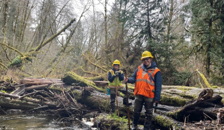 Washington Conservation Corps Seeks 250+ Recruits Statewide for Environmental Service and Career Development