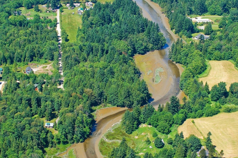 Washington's Ecology Department Seeks Public Input on Plan to Combat Bacterial Pollution in Drayton Harbor