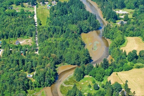 Washington's Ecology Department Seeks Public Input on Plan to Combat Bacterial Pollution in Drayton Harbor