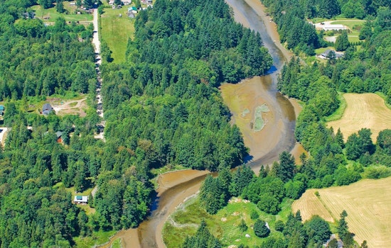 Washington's Ecology Department Seeks Public Input on Plan to Combat Bacterial Pollution in Drayton Harbor