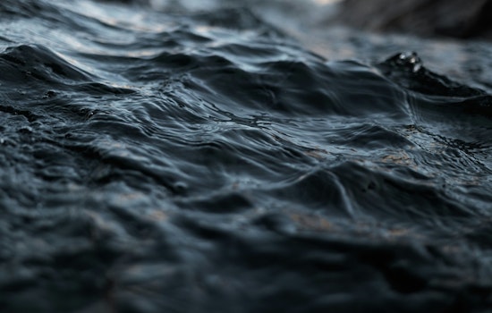 Water Quality Advisory Issued for Miami-Dade County Beaches Due to High Bacteria Levels