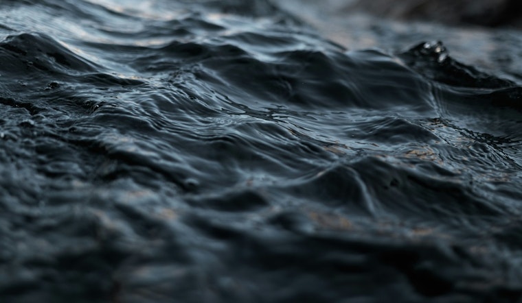 Water Quality Advisory Issued for Miami-Dade County Beaches Due to High Bacteria Levels