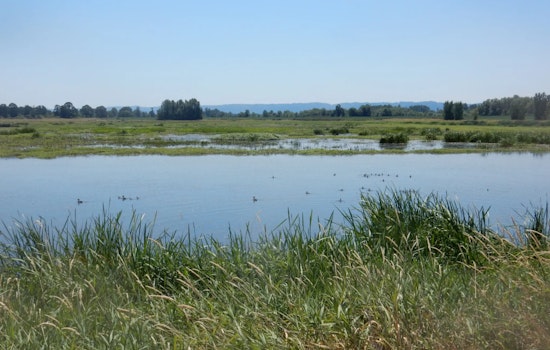 WDFW Seeks Volunteers for Shillapoo Wildlife Area Restoration Working Group in Vancouver, WA
