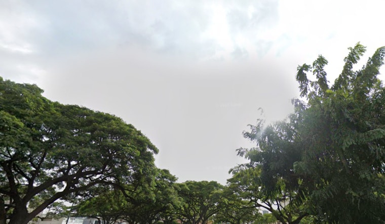 Weather Seesaw in Honolulu as Breezy Trades Shift to Showers Then Dry Spell Says NWS