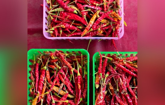 West Allis Farmers Market Competes for Top Honors in National Contest as Community Votes Are Sought