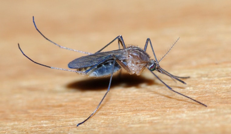 West Nile Virus Detected in Livingston County Resident as Michigan Remains on Alert During Peak Mosquito Season