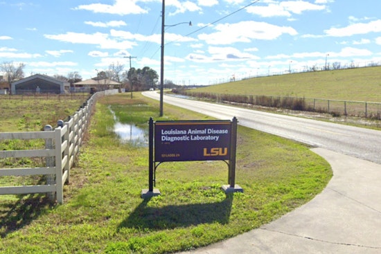 West Nile Virus Detected in Mosquitoes Across Multiple Louisiana Parishes; Enhanced Abatement Efforts Underway
