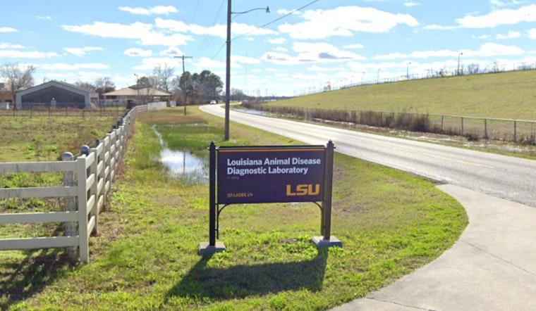 West Nile Virus Detected in Mosquitoes Across Multiple Louisiana Parishes; Enhanced Abatement Efforts Underway