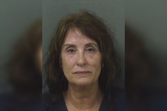 West Palm Beach Woman Charged with Animal Cruelty After Dog Dies in Hot Car at Marina