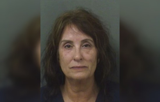 West Palm Beach Woman Charged with Animal Cruelty After Dog Dies in Hot Car at Marina