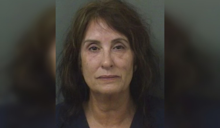 West Palm Beach Woman Charged with Animal Cruelty After Dog Dies in Hot Car at Marina
