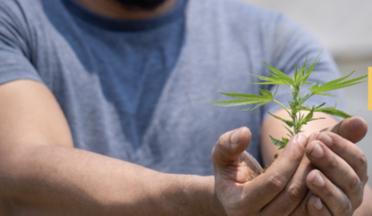 West Sacramento Cannabis Venture Collapse Highlights Industry Growing Pains