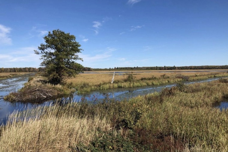 Wisconsin DNR Announces Applications Open for Special Trapping Season at Sandhill State Wildlife Area