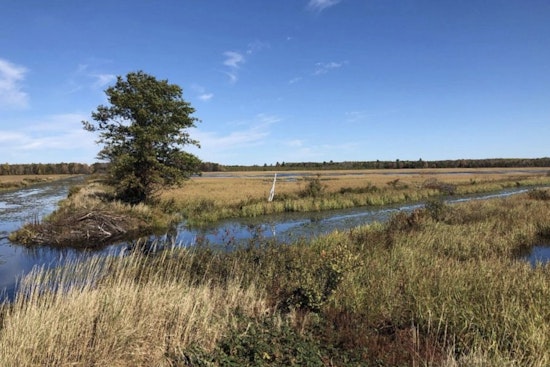 Wisconsin DNR Announces Applications Open for Special Trapping Season at Sandhill State Wildlife Area
