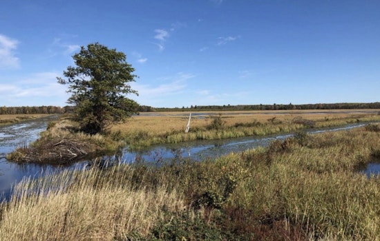 Wisconsin DNR Announces Applications Open for Special Trapping Season at Sandhill State Wildlife Area