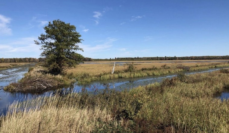 Wisconsin DNR Announces Applications Open for Special Trapping Season at Sandhill State Wildlife Area