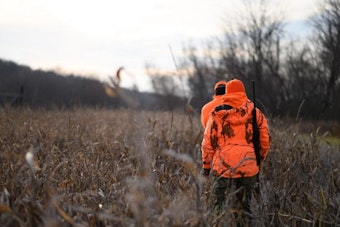 Wisconsin DNR to Offer Bonus Antlerless Deer Harvest Authorizations Starting August 18