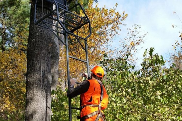 Wisconsin DNR Warns Deer Hunters, Avoid Ash Trees for Stands Due to Emerald Ash Borer Risk