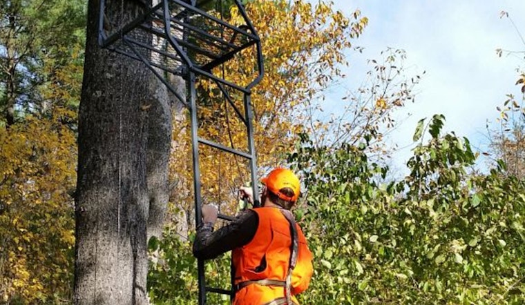 Wisconsin DNR Warns Deer Hunters, Avoid Ash Trees for Stands Due to Emerald Ash Borer Risk