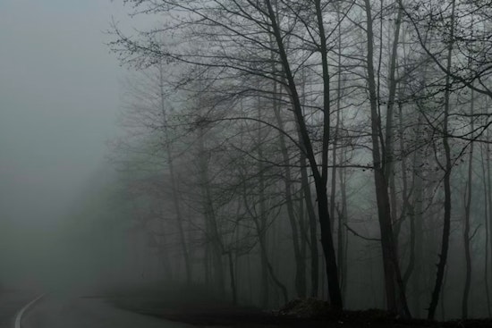 Wisconsin Welcomes Mild Weekend Weather as NWS Warns of Potential Nighttime Storms and Morning Fog