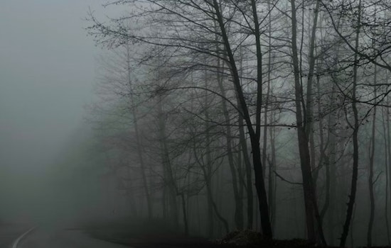 Wisconsin Welcomes Mild Weekend Weather as NWS Warns of Potential Nighttime Storms and Morning Fog