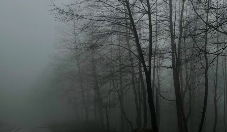 Wisconsin Welcomes Mild Weekend Weather as NWS Warns of Potential Nighttime Storms and Morning Fog
