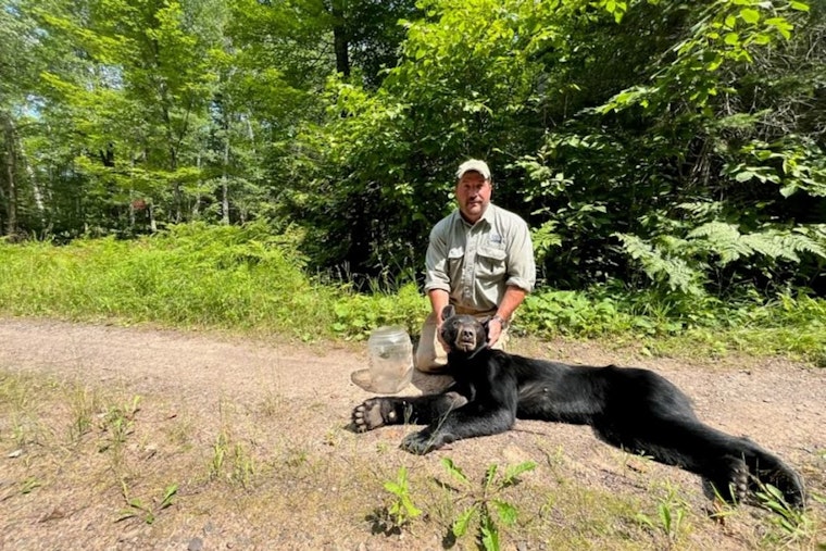 Wisconsin Wildlife Officials Rescue Bear with Jar Stuck on Head near Cable