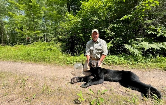 Wisconsin Wildlife Officials Rescue Bear with Jar Stuck on Head near Cable