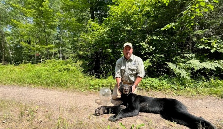 Wisconsin Wildlife Officials Rescue Bear with Jar Stuck on Head near Cable