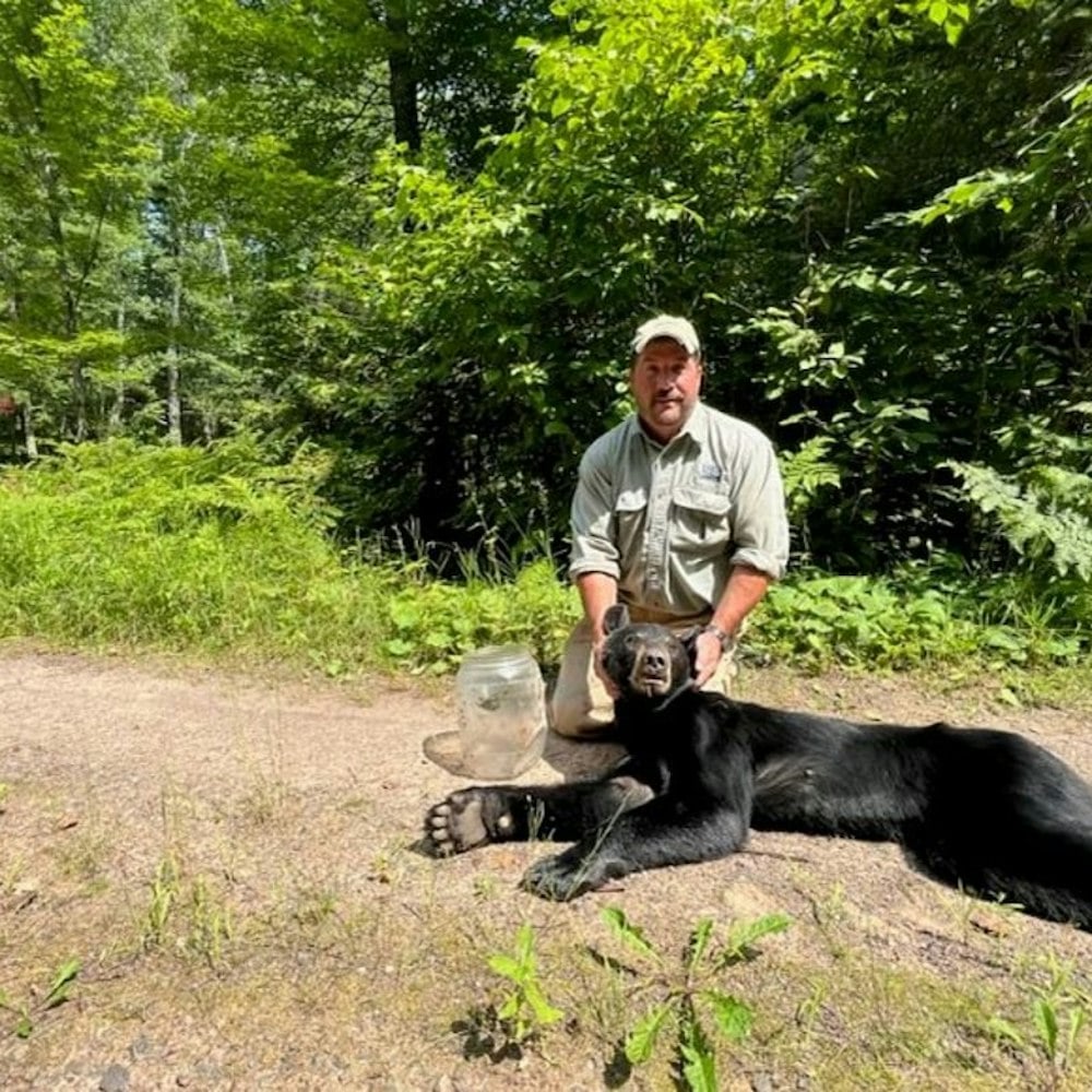 Teen Driver Charged After High-Speed Police Chase Ends in Violent