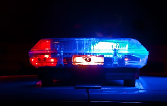 Woman Assaulted at Rüfüs Du Sol Concert in Rose Bowl, Pasadena Police Seek Suspect