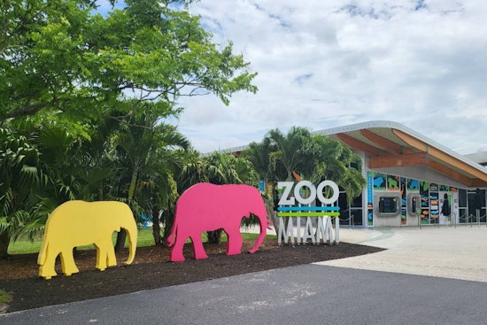 Zoo Miami Celebrates Birth of Endangered Banteng Calf as Visitors Witness Rare Public Display