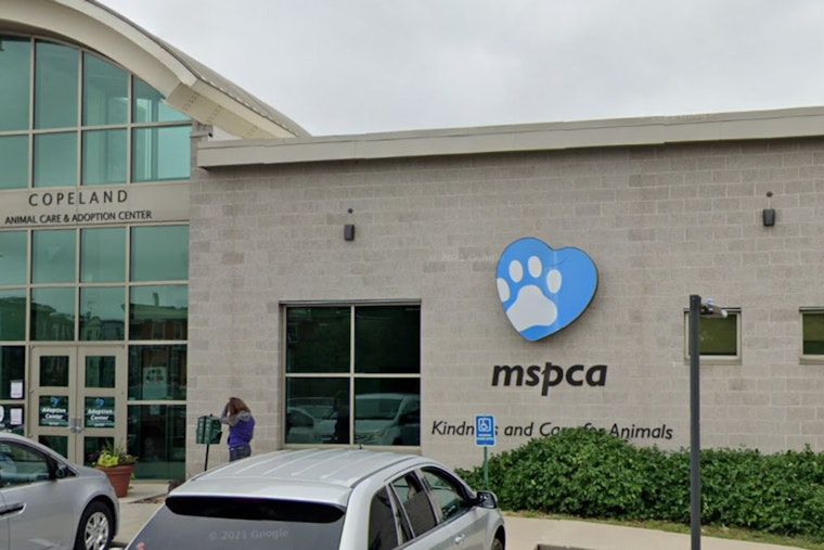 115 Animals Seized Amid Cruelty Probe in Plympton, Owner Disputes Claims