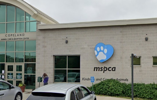 115 Animals Seized Amid Cruelty Probe in Plympton, Owner Disputes Claims