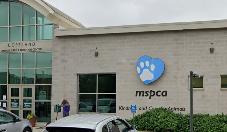 115 Animals Seized Amid Cruelty Probe in Plympton, Owner Disputes Claims