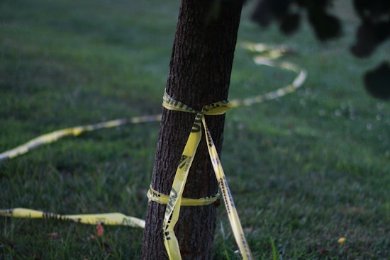 17-Year-Old Boy Fatally Shot on Sidewalk in Chicago's Morgan Park Neighborhood