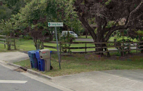 22-Year-Old Tree Service Worker Killed by Falling Tree Trunk in DeLand, Volusia County