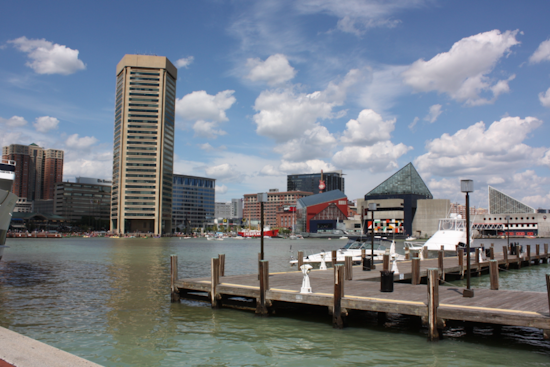 25,000 Dead Fish Surface in Baltimore's Inner Harbor Due to Natural Oxygen Depletion