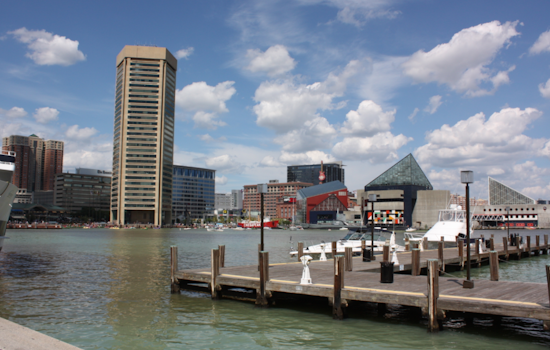 25,000 Dead Fish Surface in Baltimore's Inner Harbor Due to Natural Oxygen Depletion